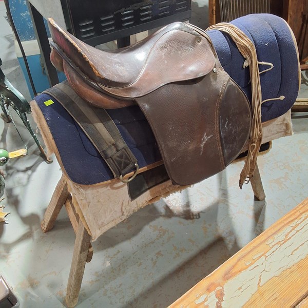 Lot 163 - SADDLE AND HORSE