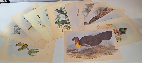 Lot 1183 - JOHN GOULD