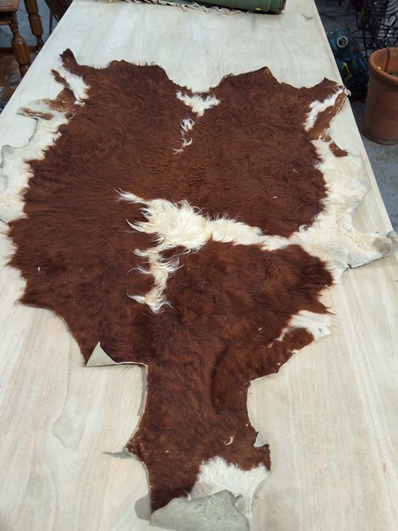 Lot 338 - COW HIDE