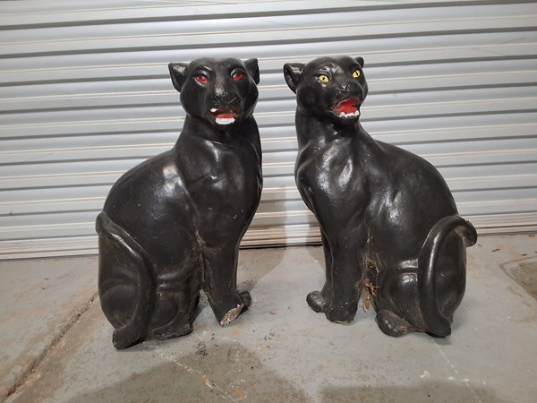 Lot 375 - ENTRANCE PANTHERS