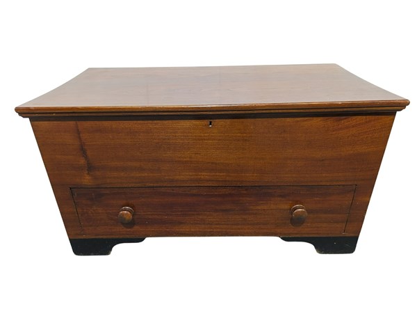 Lot 65 - GERMANIC CEDAR TRUNK