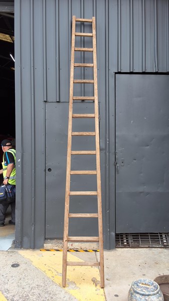 Lot 376 - TIMBER LADDER