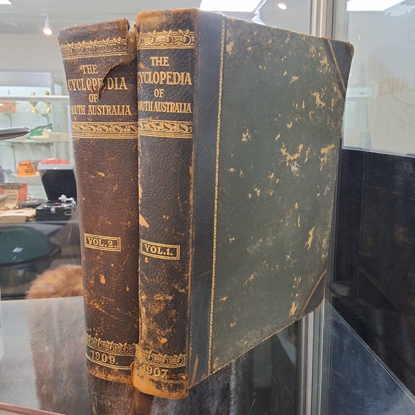 Lot 1138 - CYCLOPEDIA OF SOUTH AUSTRALIA