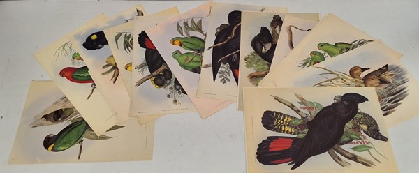 Lot 1386 - JOHN GOULD