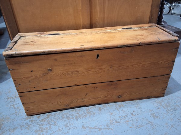 Lot 264 - PINE TRUNK