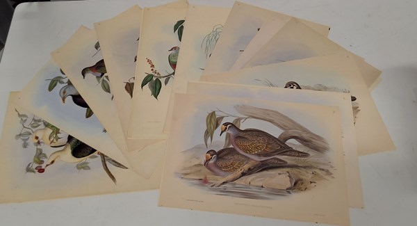 Lot 1242 - JOHN GOULD