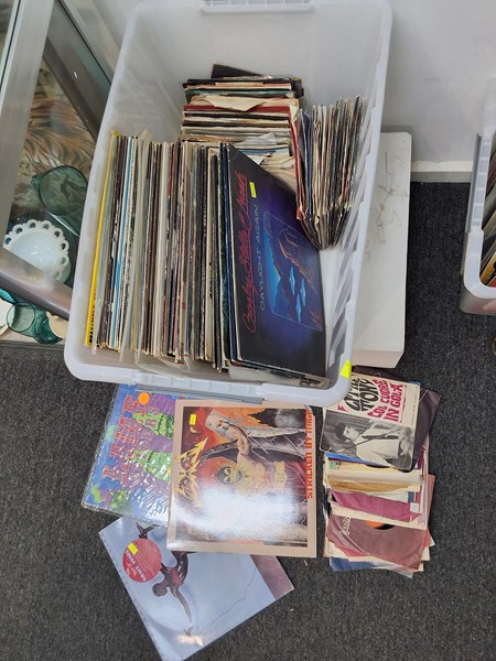 Lot 1350 - VINYL RECORDS