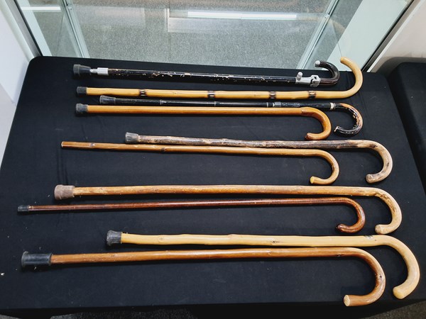 Lot 1393 - WALKING STICKS