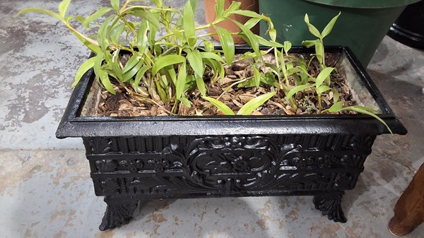 Lot 329 - PLANTER TROUGH