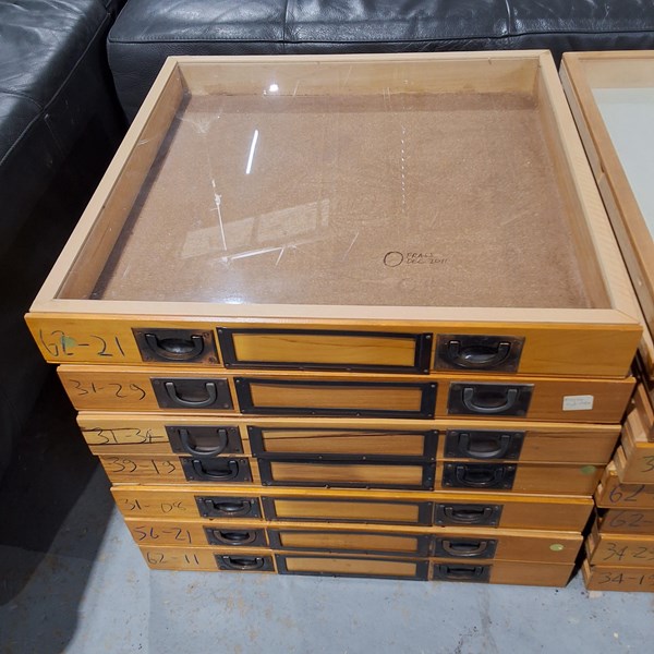 Lot 200 - SPECIMEN DRAWERS