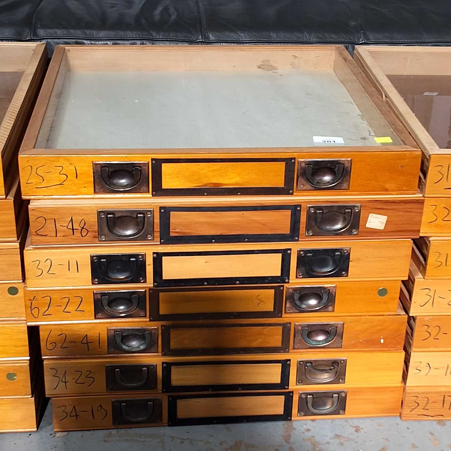 Lot 201 - SPECIMEN DRAWERS