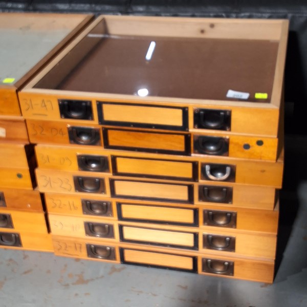 Lot 202 - SPECIMEN DRAWERS