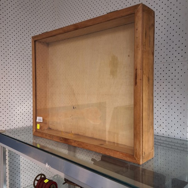 Lot 1215 - GLASS FRONT TIMBER DISPLAY CASE