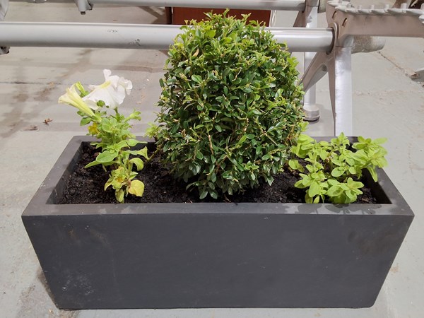 Lot 369 - CLASSIC COURTYARD TROUGH