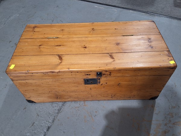 Lot 249 - PINE TRUNK