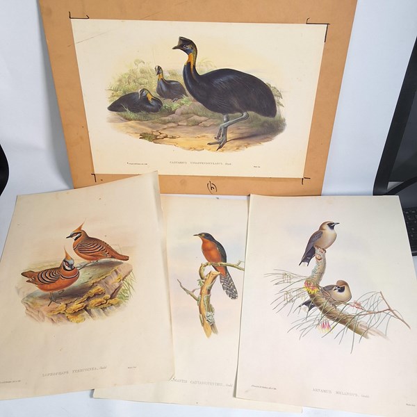 Lot 1241 - JOHN GOULD BIRD PRINTS