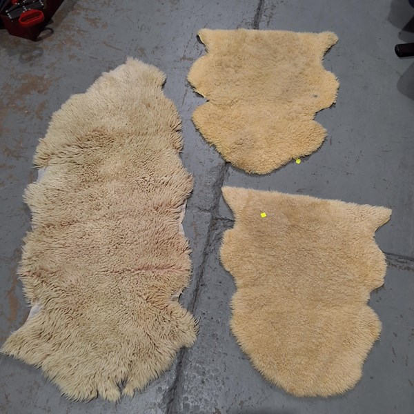 Lot 16 - SHEEP SKINS