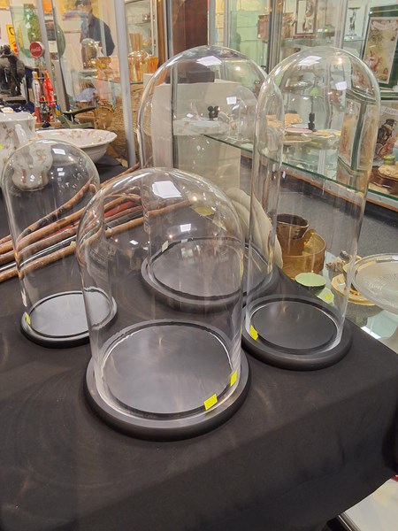 Lot 1435 - GLASS DISPLAY DOMES