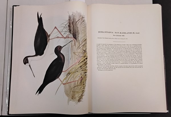 Lot 1154 - JOHN GOULD, BIRDS OF AUSTRALIA