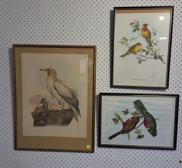 Lot 1094 - JOHN GOULD PRINTS