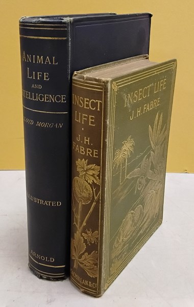 Lot 1111 - MORGAN, C. LLOYD: Animal Life and Intelligence