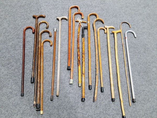 Lot 284 - WALKING STICKS