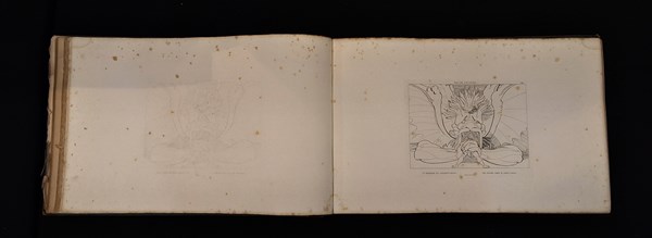 Lot 1152 - FLAXMAN, JOHN: Compositions by John Flaxman