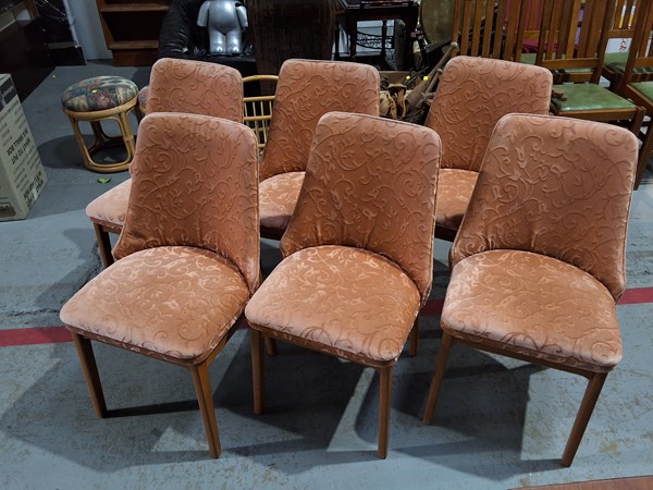 Lot 389 - SET OF DINING CHAIRS