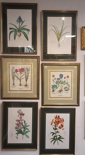 Lot 1138 - BOTANICAL PRINTS