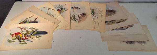 Lot 1297 - JOHN GOULD