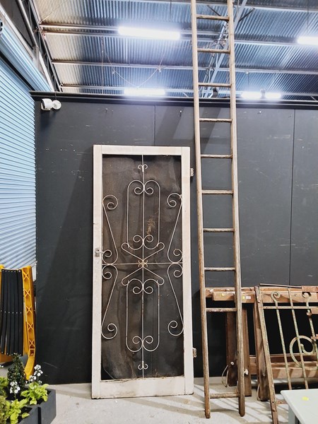 Lot 318 - LADDER AND DOOR