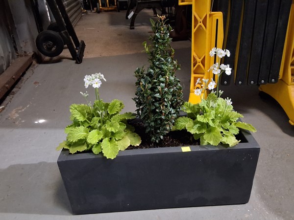 Lot 338 - PLANTER