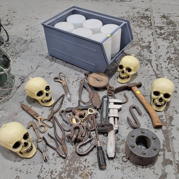 Lot 239 - TOOLS AND SKULLS