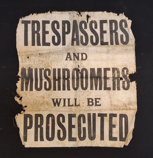 Lot 1367 - NO MUSHROOMING HERE