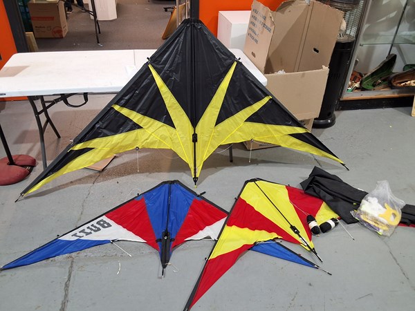 Lot 258 - KITES