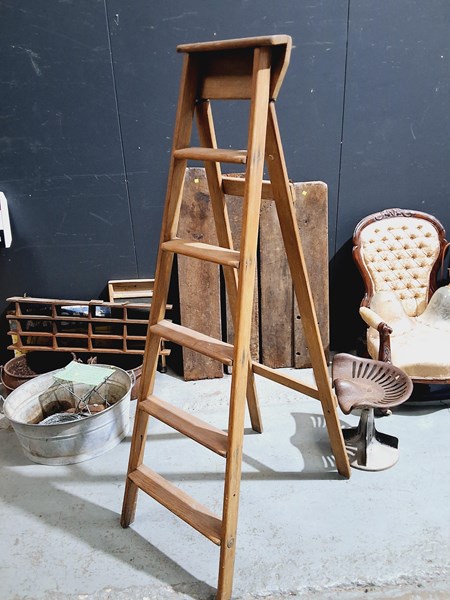 Lot 342 - LADDER