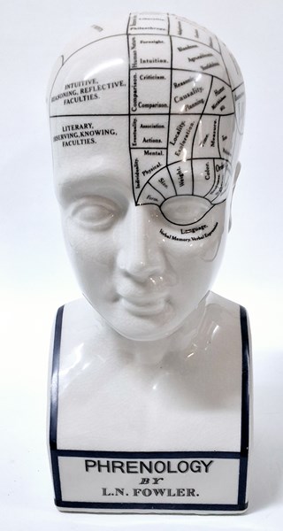 Lot 1242 - PHRENOLOGY HEAD