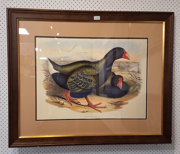 Lot 1126 - JOHN GOULD