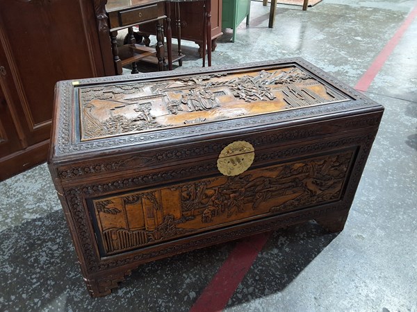 Lot 240 - CAMPHORWOOD TRUNK