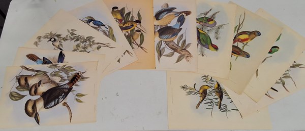 Lot 1210 - JOHN GOULD