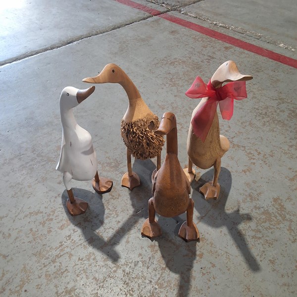 Lot 21 - BADLING OF DUCKS