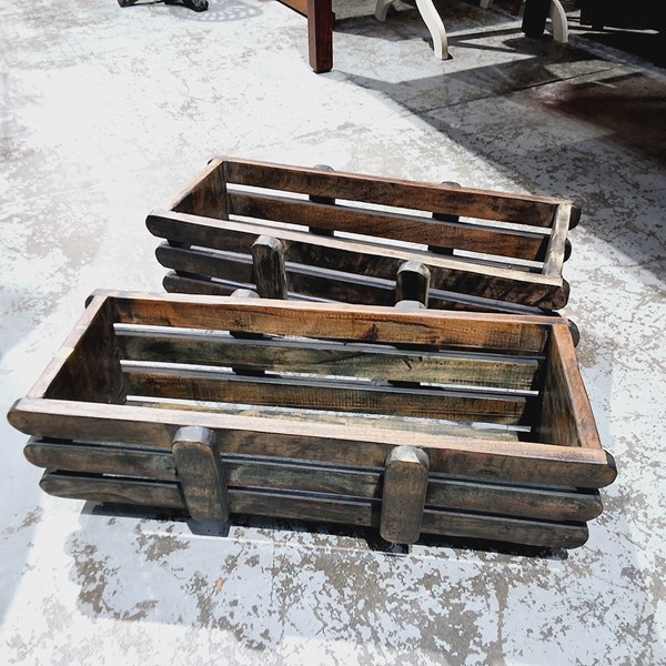 Lot 67 - PLANTERS