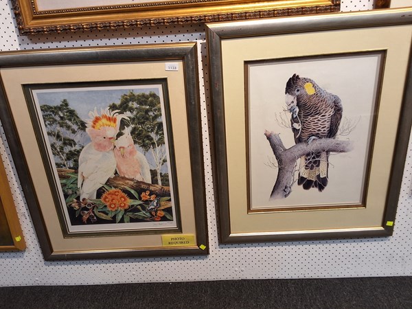 Lot 1133 - BIRD PRINTS