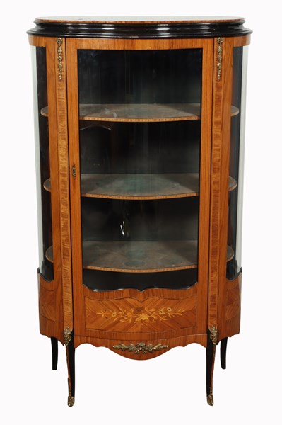 Lot 65 - VITRINE DISPLAY CABINET