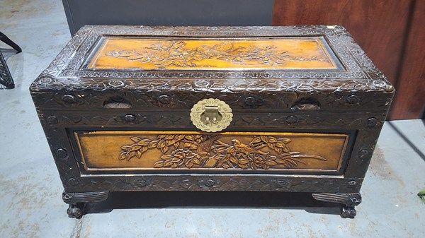 Lot 255 - CAMPHORWOOD TRUNK