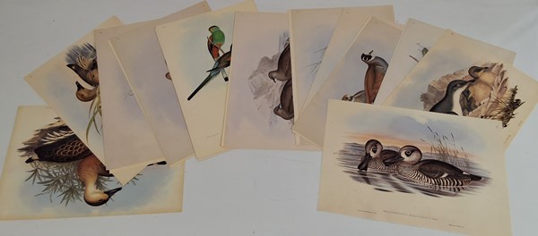 Lot 1161 - JOHN GOULD