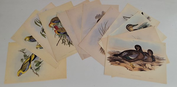 Lot 1164 - JOHN GOULD