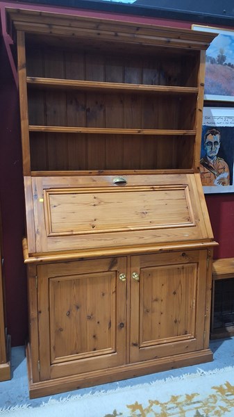 Lot 46 - BUREAU BOOKCASE