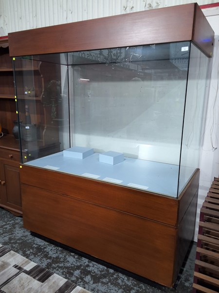 Lot 1 - MUSEUM DISPLAY CASE