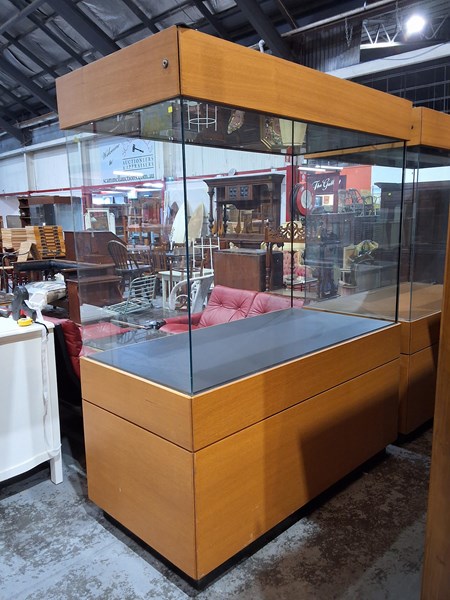 Lot 159 - MUSEUM DISPLAY CASE